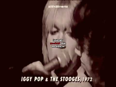 Iggy Pop and the Stooges cheetah t shirt from slogun video search and destroy